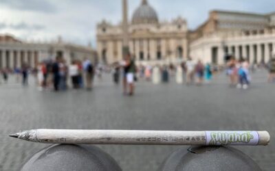 Lápices ecológicos made in Mendoza