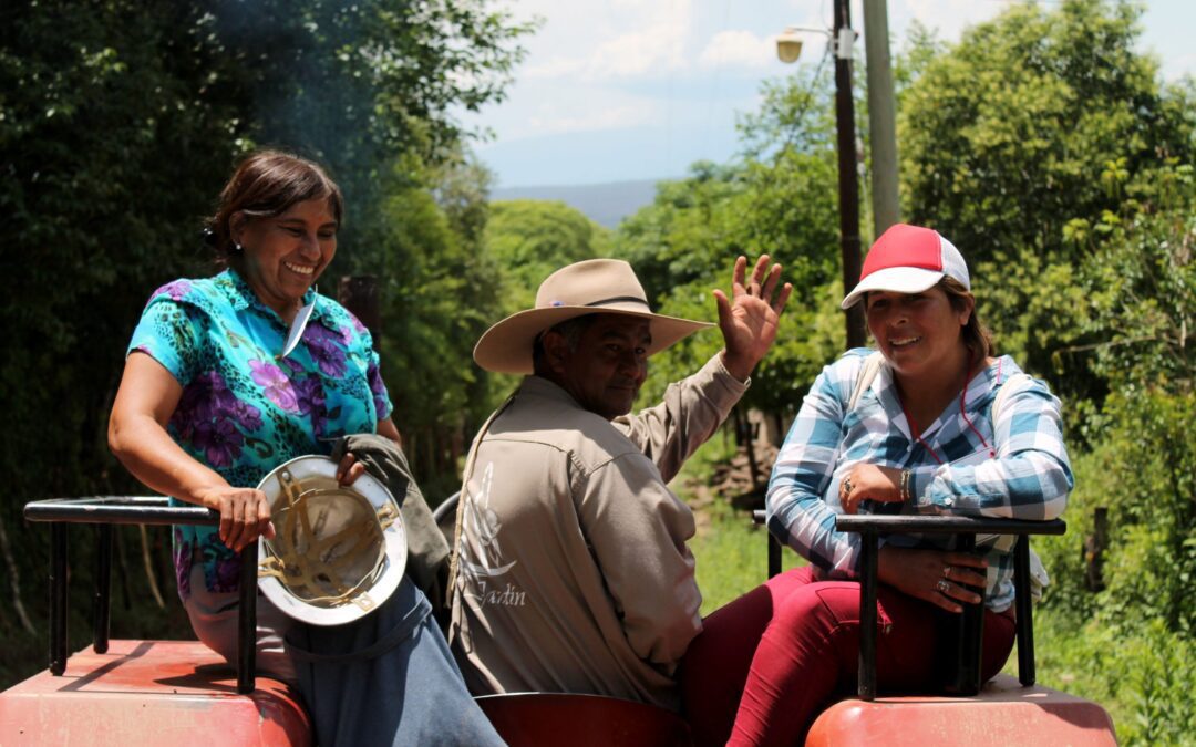 Turismo rural, Salta entre los principales destinos
