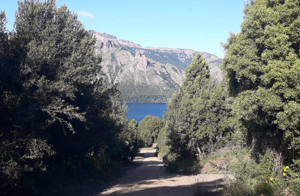 Villa Meliquina, una ecoaldea sustentable