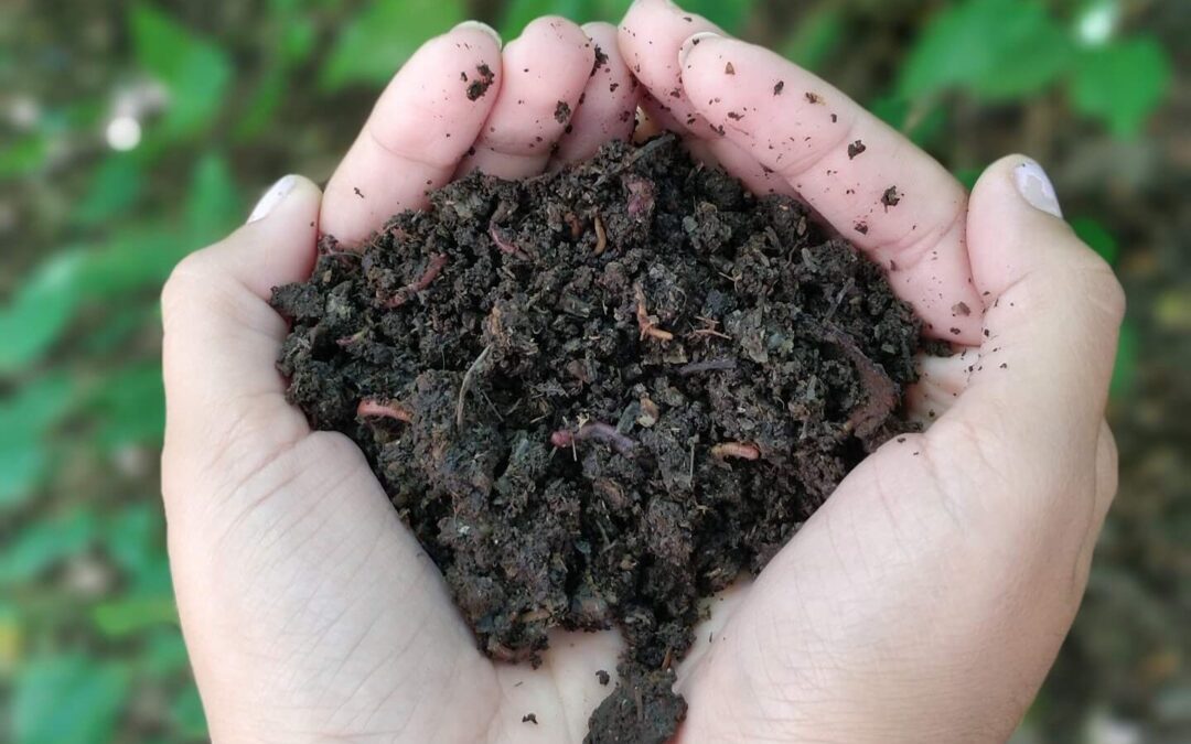 Comenzó el Mes del Compostaje