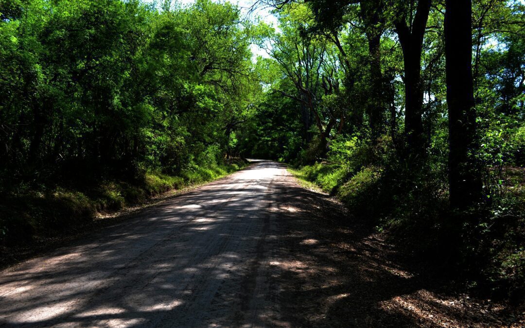 El Ecoturismo la gran apuesta del NEA