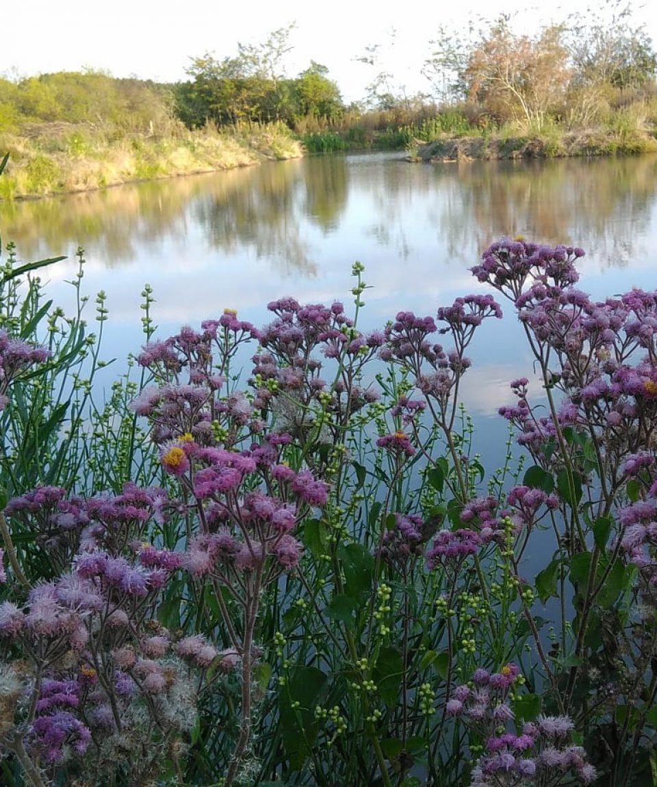 senderos-del-monte-gualeguaychu-12