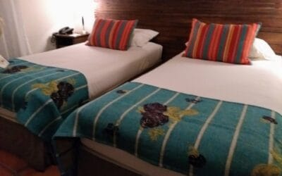 La Angostura: Multarán a los hoteleros que no separen los residuos