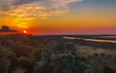 Un paraíso natural a orillas del Paraná