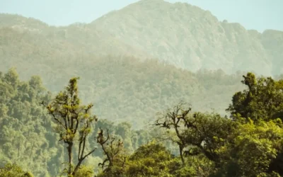 Turismo regenerativo en Argentina: cómo tus viajes pueden ayudar a restaurar ecosistemas y comunidades