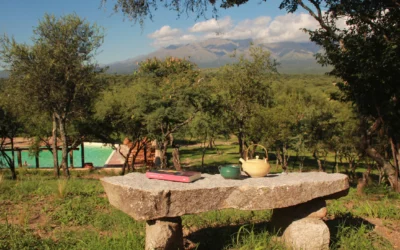 Viajes con Impacto Positivo en Argentina y América Latina